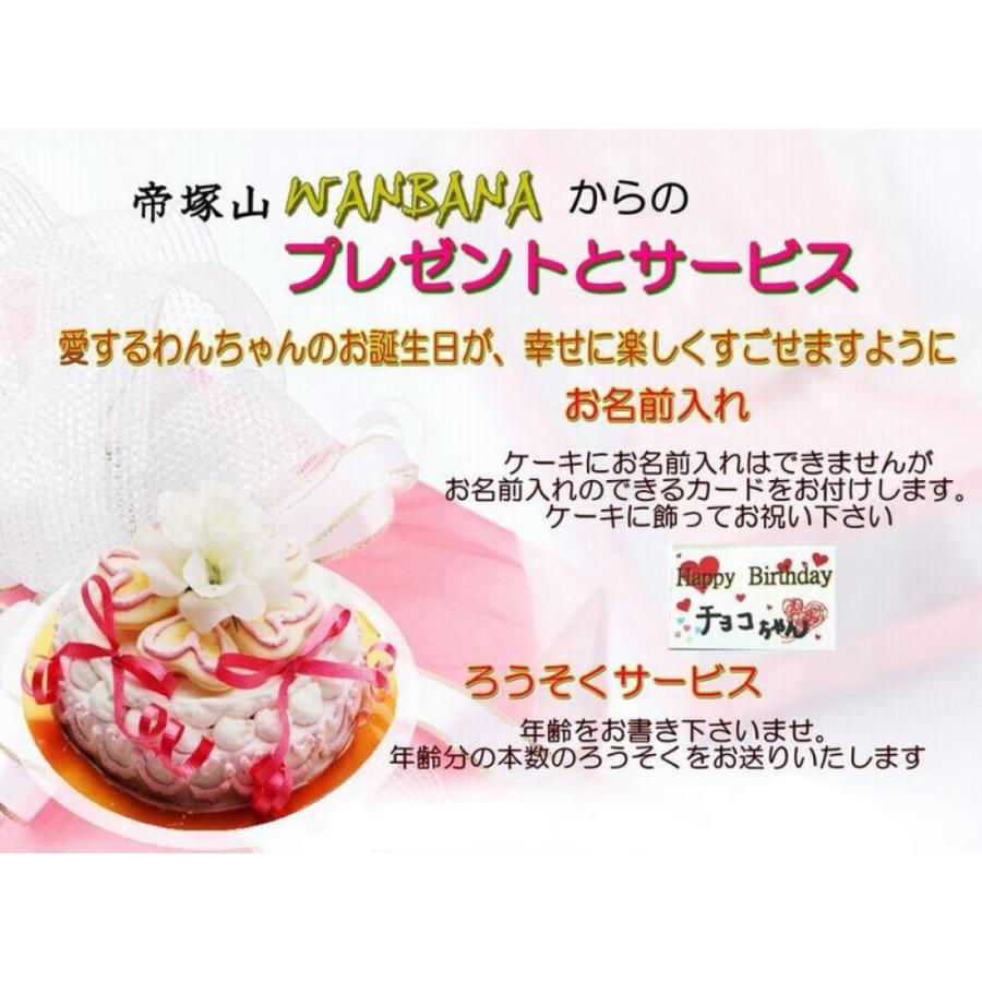 定価 犬用のお誕生日フラワーケーキお野菜と大山鳥生地4号12cmサイズ 無添加 プレゼント 人気なバースデーでsns映え 国産 帝塚山wanbana ワンバナ Aynaelda Com