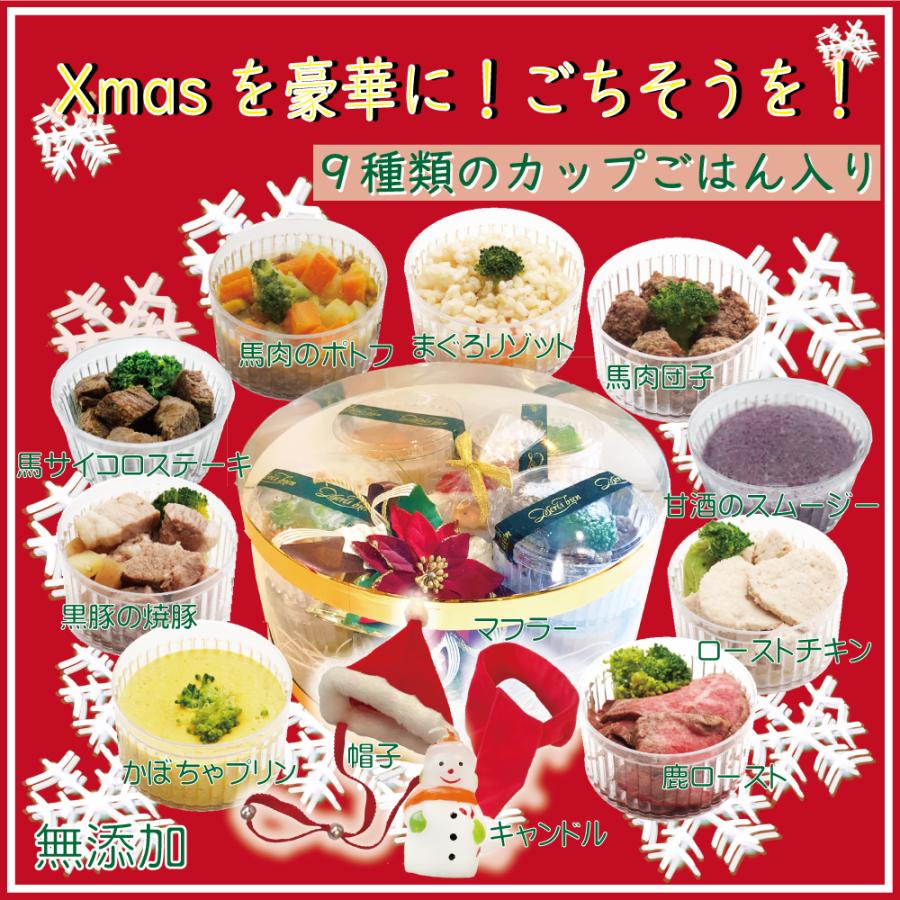 数量限定 犬用のクリスマス プレミアム セット 無添加xmas2段ケーキと豪華なbox ごちそうデリカテッセン9種類 フリーサイズサンタ帽子とキャンドル付 送料無料 1515 1 犬猫用ケーキおやつ帝塚山ワンバナ 通販 Yahoo ショッピング