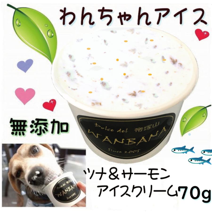 犬用のツナ サーモンのアイスクリーム 食塩不使用 ８０グラム 犬用おやつ 体温調節 熱中症対策 夏バテ防止 帝塚山wanbana ワンバナ 犬猫用ケーキおやつ帝塚山ワンバナ 通販 Yahoo ショッピング