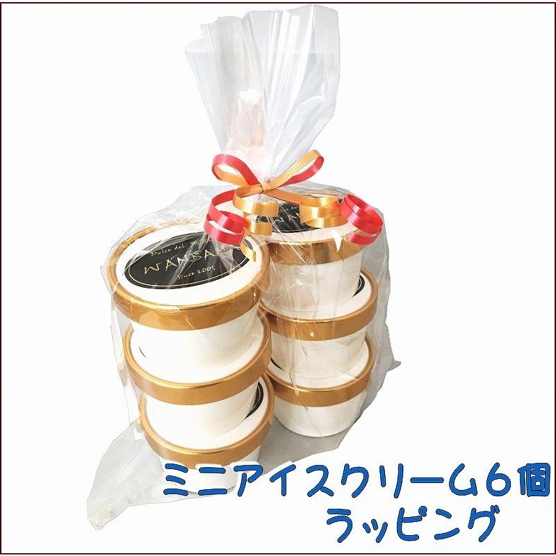 帝塚山WANBANA あすつく 犬用のミニアイスクリーム6種類セット