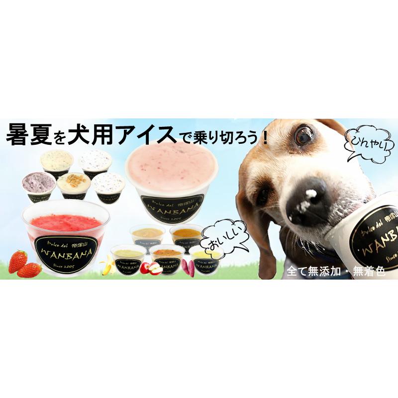 帝塚山WANBANA あすつく 犬用のミニアイスクリーム6種類セット
