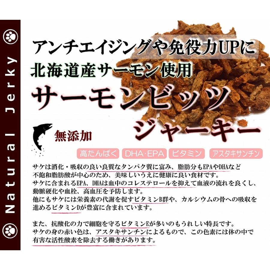 犬 猫 無添加 おやつ 国産 ジャーキー サーモンまるごとビッツ 40ｇ 手作り サクッと柔らかい アレルギー 涙やけ 魚 フィッシュ 低脂肪 おいしいオヤツ | 帝塚山WANBANA | 01
