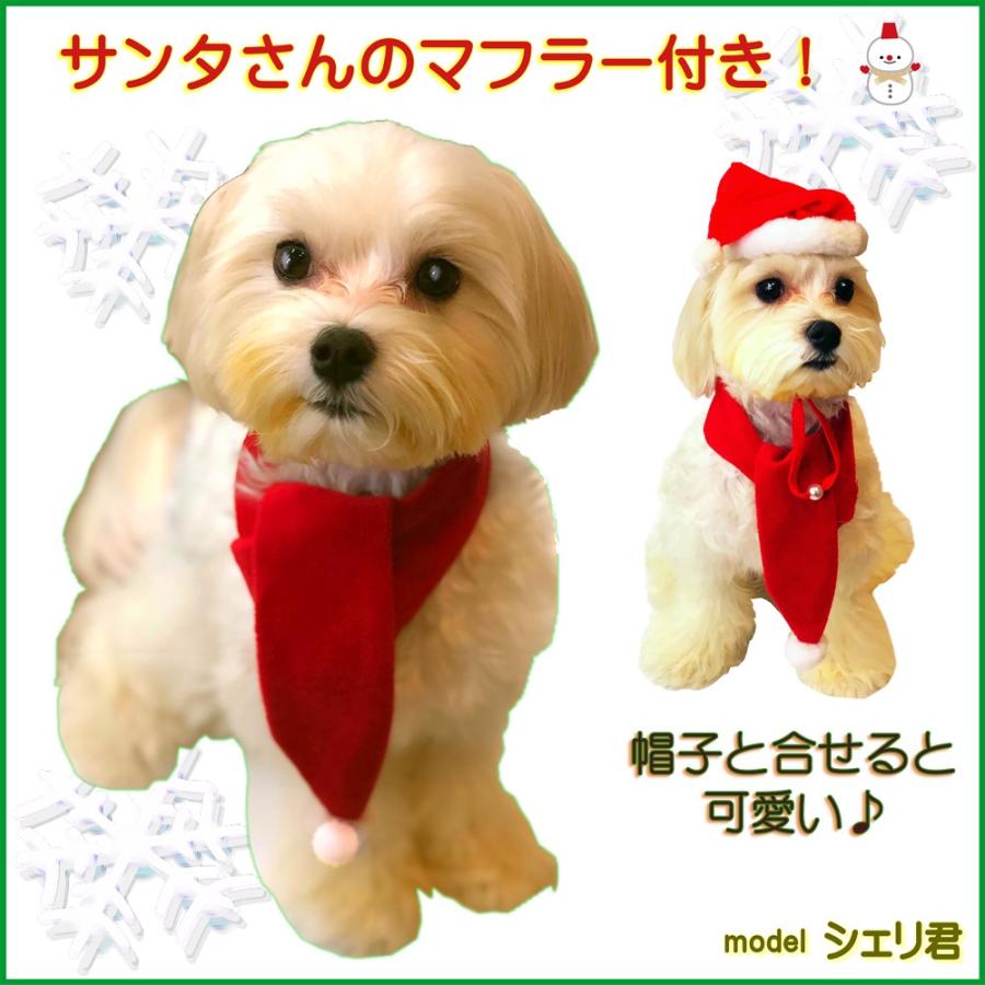 犬用クリスマスケーキ ディナーセットd マフラー付き 手作り 無添加 人気 栄養たっぷりプレゼント ごちそう デザート ヘルシー 帝塚山 ワンバナ 17xmasdennerd 犬猫用ケーキおやつ帝塚山ワンバナ 通販 Yahoo ショッピング