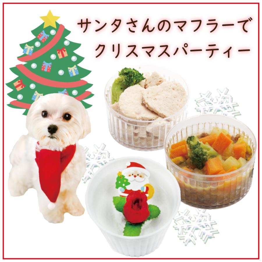 犬用クリスマスケーキ ディナーセットd マフラー付き 手作り 無添加 人気 栄養たっぷりプレゼント ごちそう デザート ヘルシー 帝塚山 ワンバナ 17xmasdennerd 犬猫用ケーキおやつ帝塚山ワンバナ 通販 Yahoo ショッピング