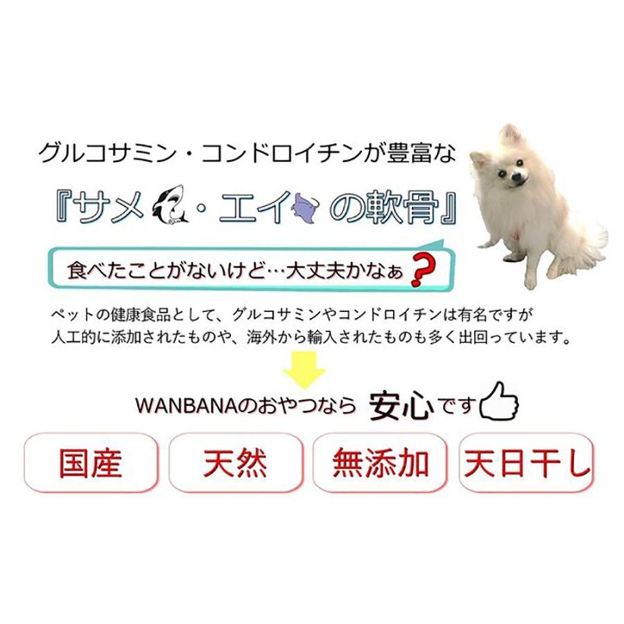 犬 猫 ふりかけ 天然 サメ軟骨 40g 国産無添加 ごはんやおやつにかける リン吸着 カルシウム 腎臓ケア 腎不全に 嗜好性が高く 食欲がない 関節保護におすすめ｜wanbana｜04