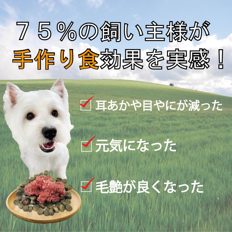 犬用厳選！包丁いらず生馬肉ミンチ3kg大袋お得用 低脂肪高たんぱく赤身  健康に長生き 毎日続けてもらえる価格設定 トッピング手作り食 簡単レンチンOK ワンバナ｜wanbana｜08