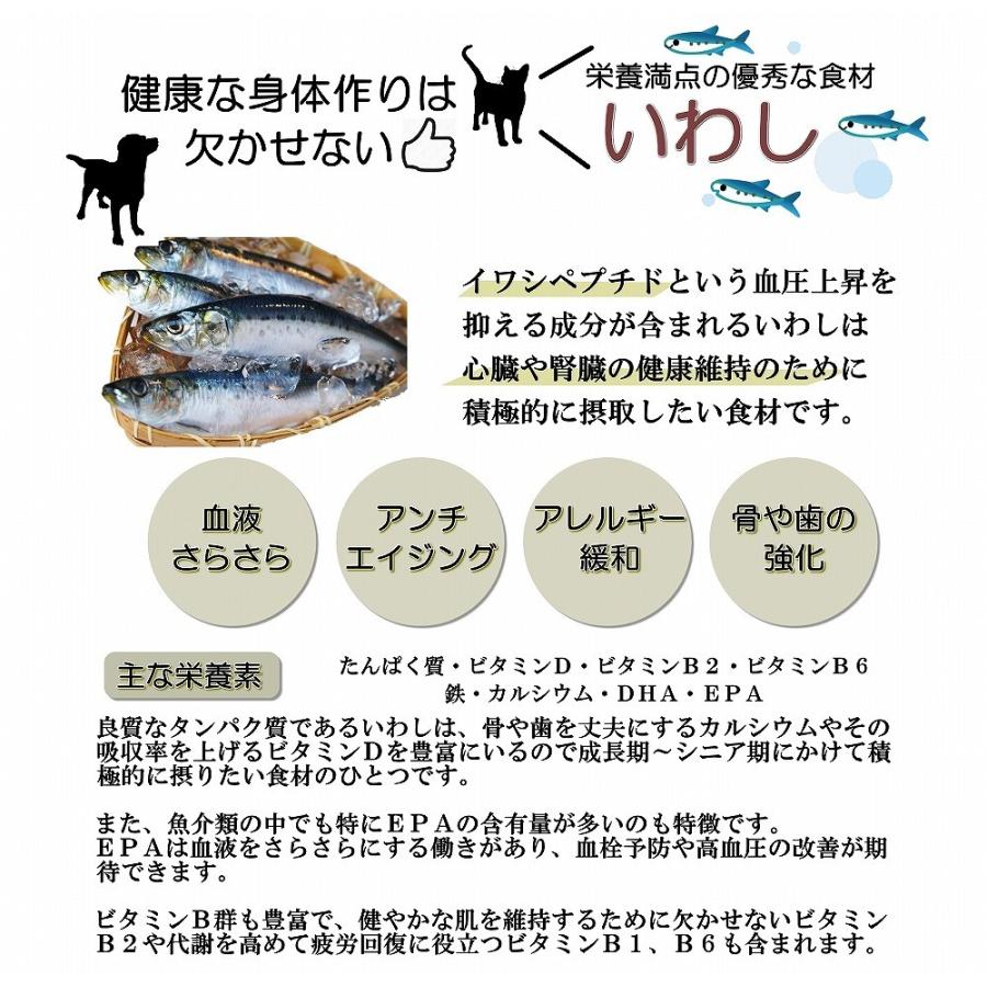 お得用サイズ 大袋 いわしを丸ごとペースト 5ｋｇ トッピングや手作り食の材料に 大型犬 多頭飼いの方に アレルギー対応 帝塚山 Wanbana ワンバナ 0318 3 犬猫用ケーキおやつ帝塚山ワンバナ 通販 Yahoo ショッピング