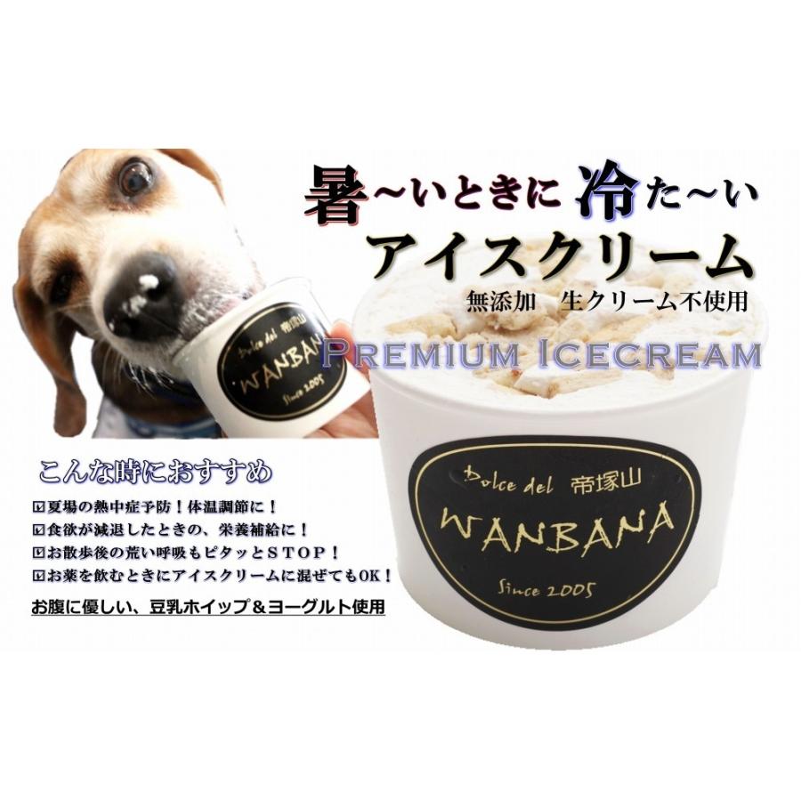 犬用チョコ風味アイスクリーム キャロブと馬肉チップ入り 人気 熱中症 夏バテ 暑さ対策 多頭飼い 大型犬 中型犬 おやつ 帝塚山 Wanbana ワンバナ 0411 1 犬猫用ケーキおやつ帝塚山ワンバナ 通販 Yahoo ショッピング