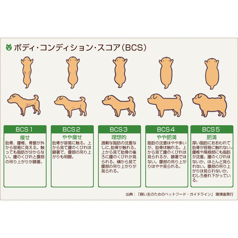 犬用厳選！包丁いらず 国産無添加マリアアザミと馬肉のスープジュレ 肝臓ケア胆泥症に 水分補給 健康に長生き 毎日続けられる価格設定 トッピングに レンチンOK｜wanbana｜10