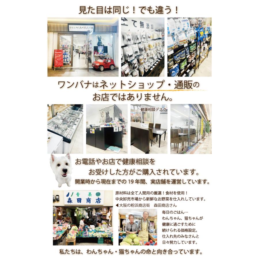 帝塚山WANBANA 犬用ビルベリーと馬肉のスープキューブ 気になる 帝塚山WANBANA 犬用ビルベリーと馬肉のスープキューブ 気になる