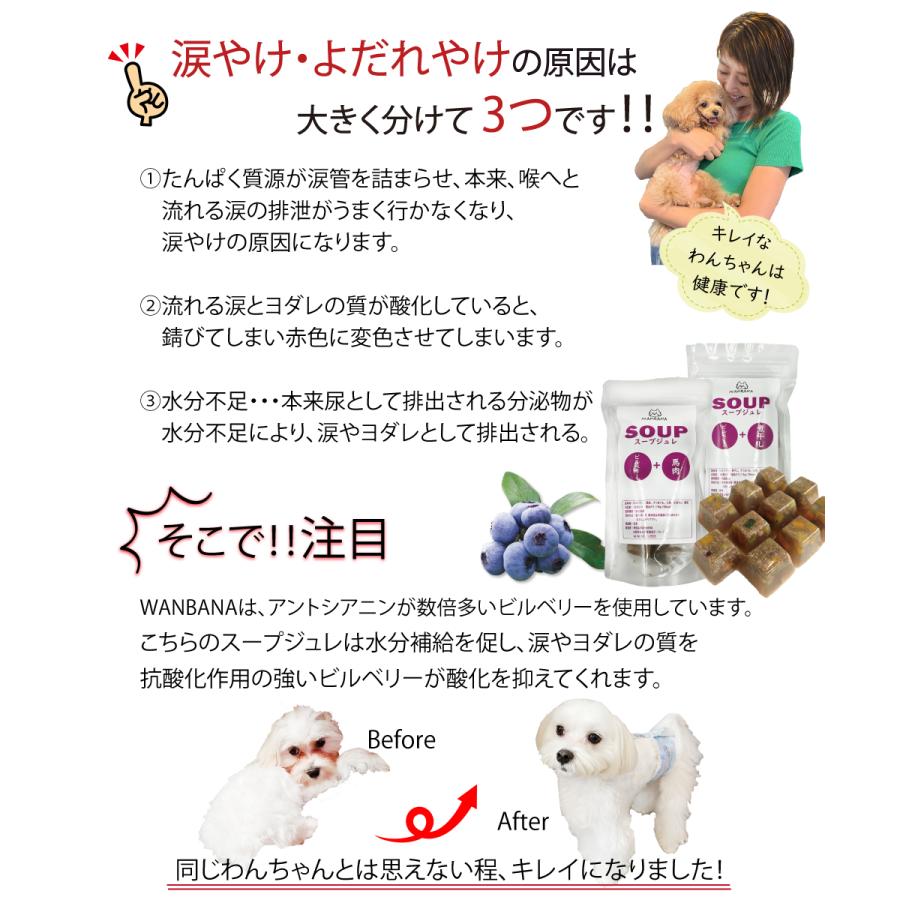 犬用 スープ トッピング 手作りごはん ビルベリーと煮干が入ったスープジュレ10個入り 涙やけ アンチエイジング 簡単 無添加 ペット 用品 健康 ドッグフード 0418 2 犬猫用ケーキおやつ帝塚山ワンバナ 通販 Yahoo ショッピング