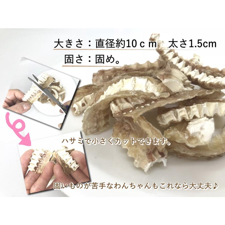 犬用の無添加国産おやつ 天然サメ軟骨お徳用500g ジャーキー 気仙沼産 関節 骨 強化 デンタルケア グルコサミン ワンバナのペット用品で健康なごはんの画像
