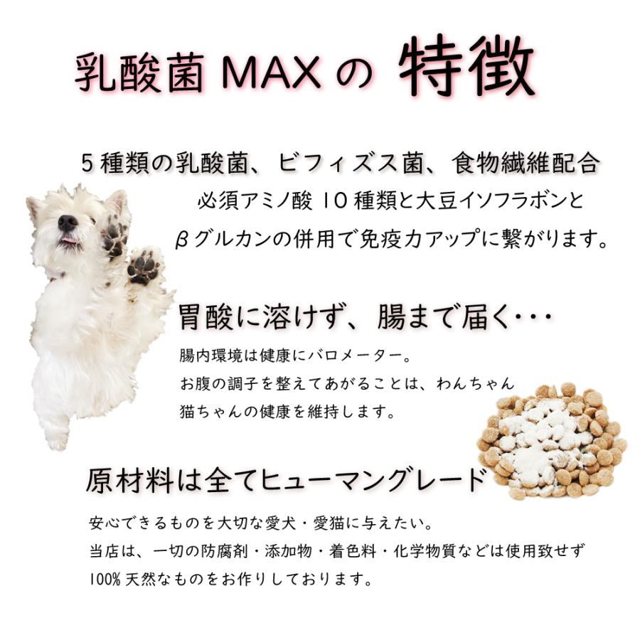 帝塚山WANBANA キュルキュルお腹の音から解放！犬猫用サプリメント