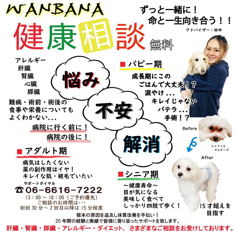 帝塚山WANBANA キュルキュルお腹の音から解放！犬猫用サプリメント