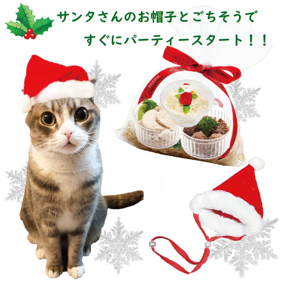 猫用クリスマスギフト 1 キャットセット カップケーキ 馬肉団子 ローストチキン サンタさんの帽子付 6480円以上送料無料 ワンバナ 1014 1 犬猫用ケーキおやつ帝塚山ワンバナ 通販 Yahoo ショッピング