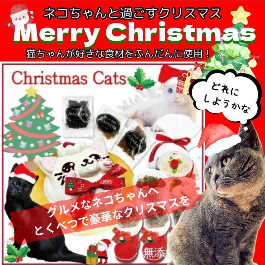 帝塚山WANBANA あすつく！猫用クリスマスギフト1キャットセット/カップ