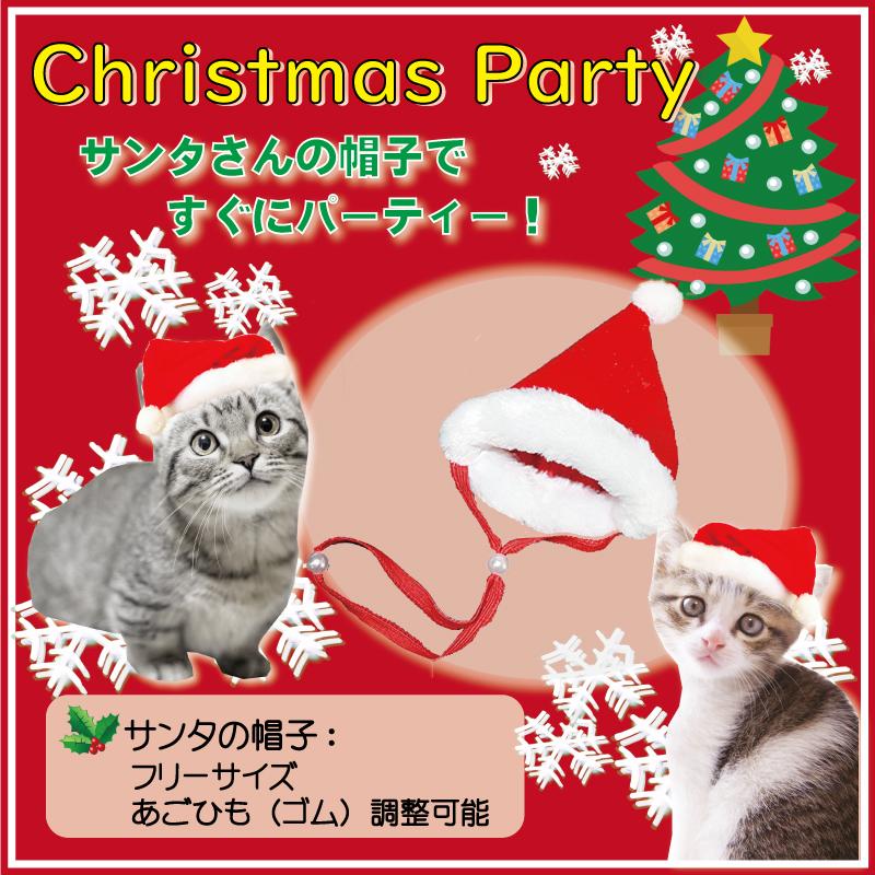 猫用 クリスマスケーキ＆サンタブーツセット/ニャンタクロース ささみ鰹節生地 ３号サイズとサンタブーツ3種のおやつと帽子付 お得 人気 ワンバナ｜wanbana｜06