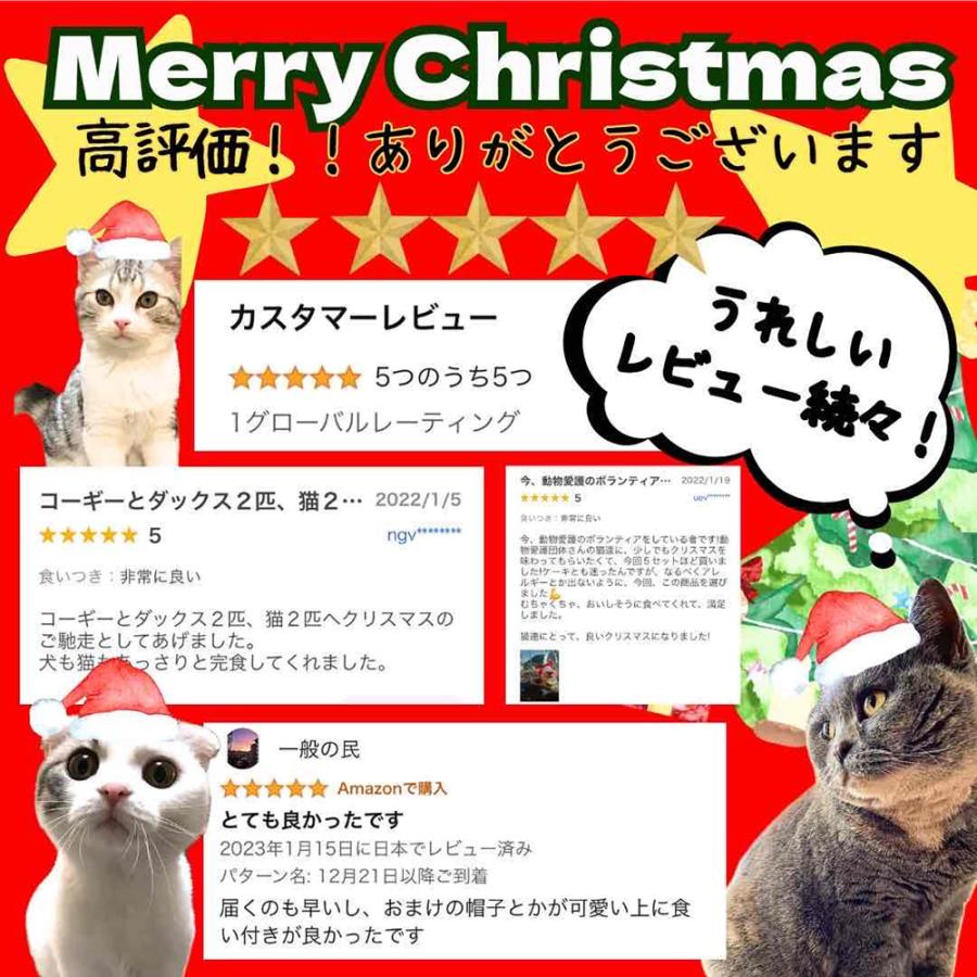 帝塚山WANBANA 猫用クリスマスサンタブーツおやつ3種入り/まぐろ・鮭