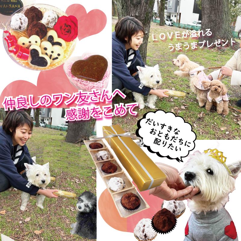 犬用の人気バレンタインベスト3のクッキー＆トリュフと馬肉のトリュフとうまスイートinハートのお得セット キラキラ王子様へ 桃の節句も ワンバナ｜wanbana｜12