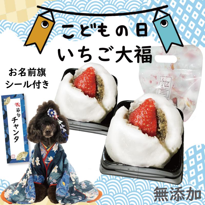 犬 いちご大福 2個セット米粉使用 アレルギー対応 こどもの日や端午の節句には おいしいおやつヘルシー手作り 帝塚山wanbanaワンバナ6480円以上送料無料 2 犬猫用ケーキおやつ帝塚山ワンバナ 通販 Yahoo ショッピング