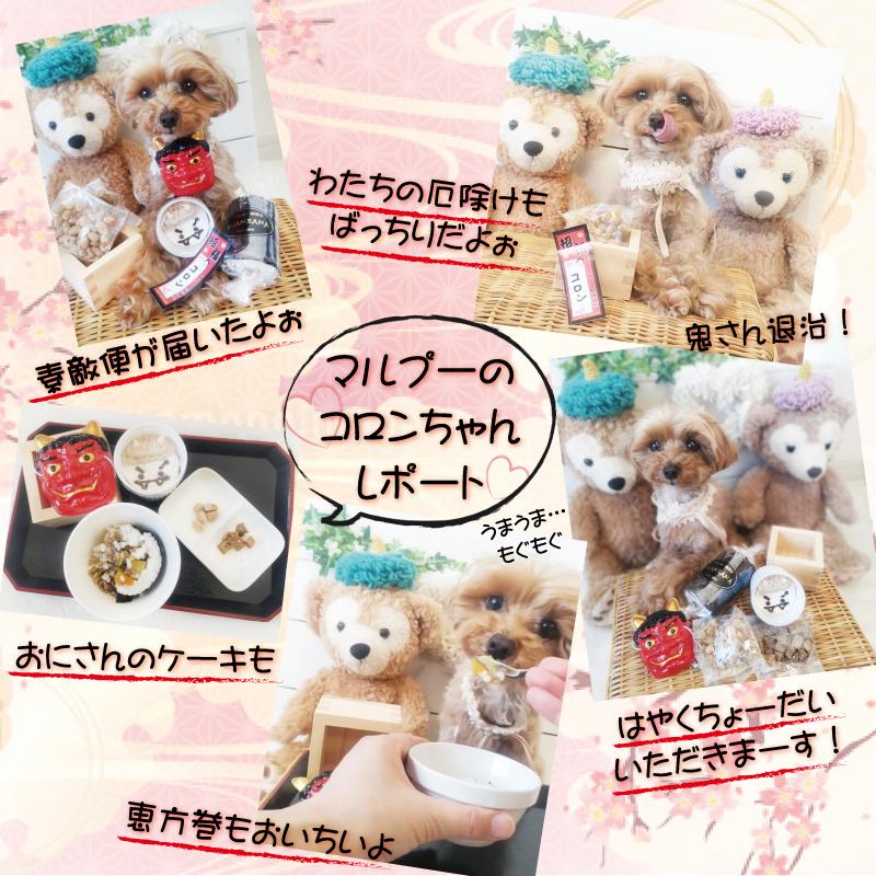 帝塚山WANBANA 犬用節分の恵方巻とカップケーキ・ひのき升付き!プチ