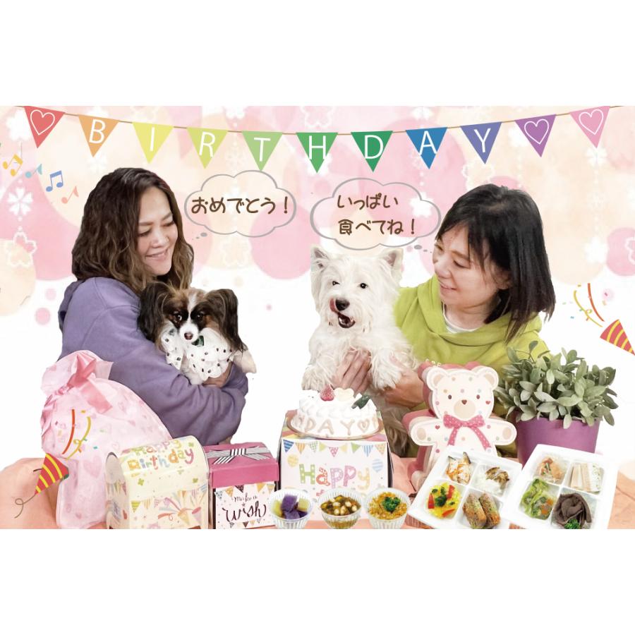 猫用 よくばりミニセット チキン・ささみセレクション カップケーキ