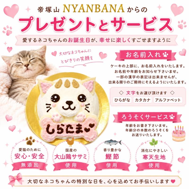 帝塚山WANBANA 猫用ケーキ プリティーにゃん/名前入れOK 3号サイズ