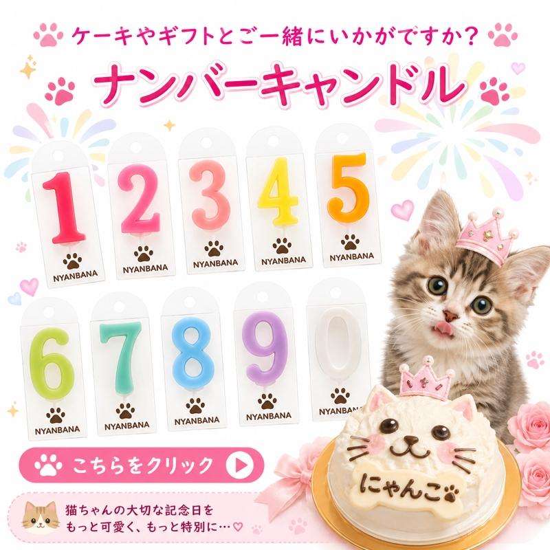 帝塚山WANBANA 猫用ケーキ プリティーにゃん/名前入れOK 3号サイズ