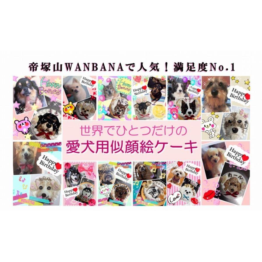 犬用 似顔絵ドッグケーキ を立体に ２頭描き 野菜と馬肉の生地 4号 誕生日に無添加で安心人気 バースデー 名前入れ Wanbanaワンバナ 6480円以上 送料無料 m42 犬猫用ケーキおやつ帝塚山ワンバナ 通販 Yahoo ショッピング