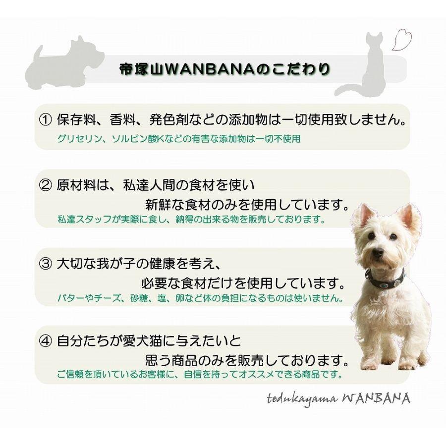 帝塚山WANBANA 犬用 似顔絵 ケーキ 立体に 1頭描きで野菜と馬肉生地4号