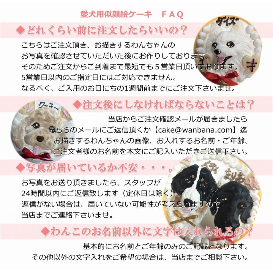 帝塚山WANBANA 犬用 似顔絵 ケーキ 立体に 1頭描きで野菜とささみ生地