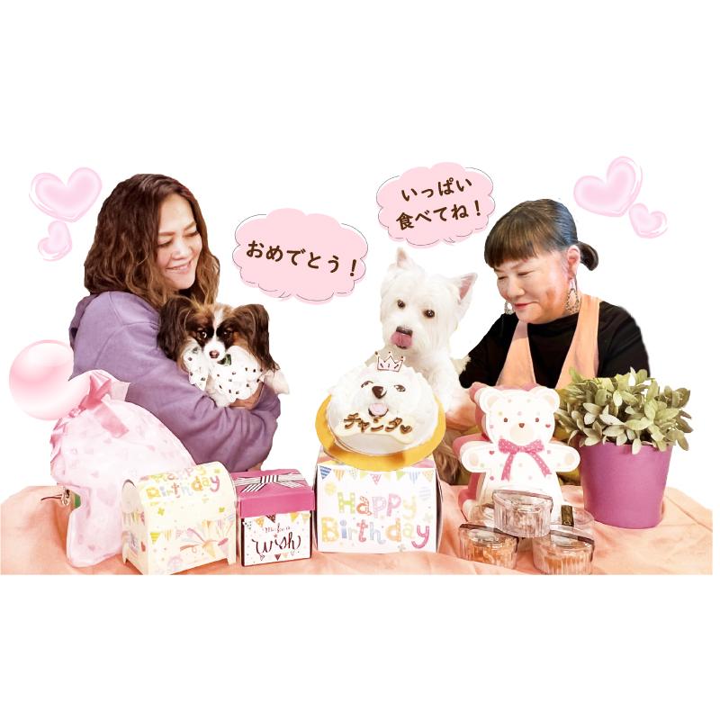 帝塚山WANBANA 犬用 似顔絵 ケーキ 立体に 1頭描きで野菜とささみ生地