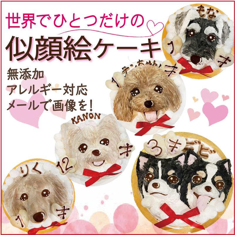 帝塚山WANBANA 犬用 似顔絵 ケーキ 立体に 1頭描きで野菜とささみ生地