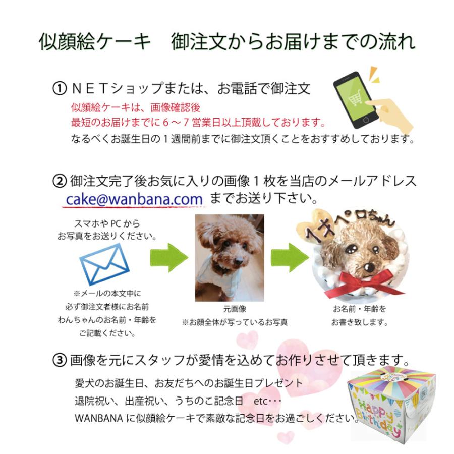 犬用の似顔絵ケーキが立体に 2頭描きで野菜と大山鳥生地5号15cmサイズ お誕生日にでSNS映え イベントやバースデー 無添加のペット用品で健康な食事を｜wanbana｜03