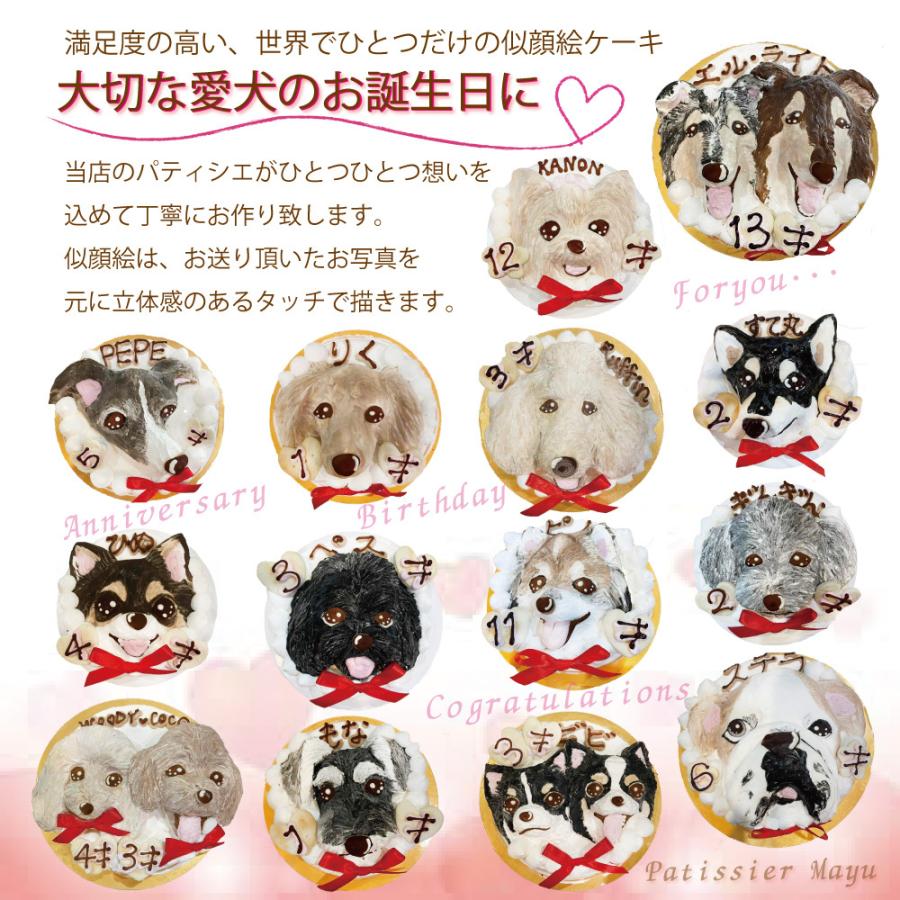 犬用の似顔絵ケーキが立体に 1頭描きで野菜と鮭生地5号15cmサイズ お誕生日にでSNS映え イベントやバースデー 無添加のペット用品で健康な食事を｜wanbana｜02