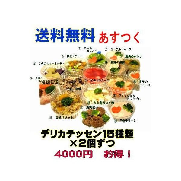 楽天カード分割 犬 ドッグフード トッピング 無添加 手作り食 デリカテッセン 15種類 セット ２個 ずつ ３０個入り 人気 帝塚山wanbana 代引き手数料無料 Studiostodulky Cz
