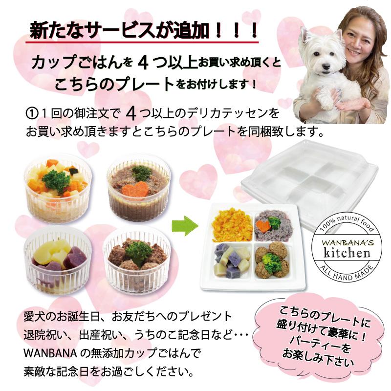 帝塚山WANBANA 犬用 手作りごはん 国産無添加 大山鶏むね肉のポトフ