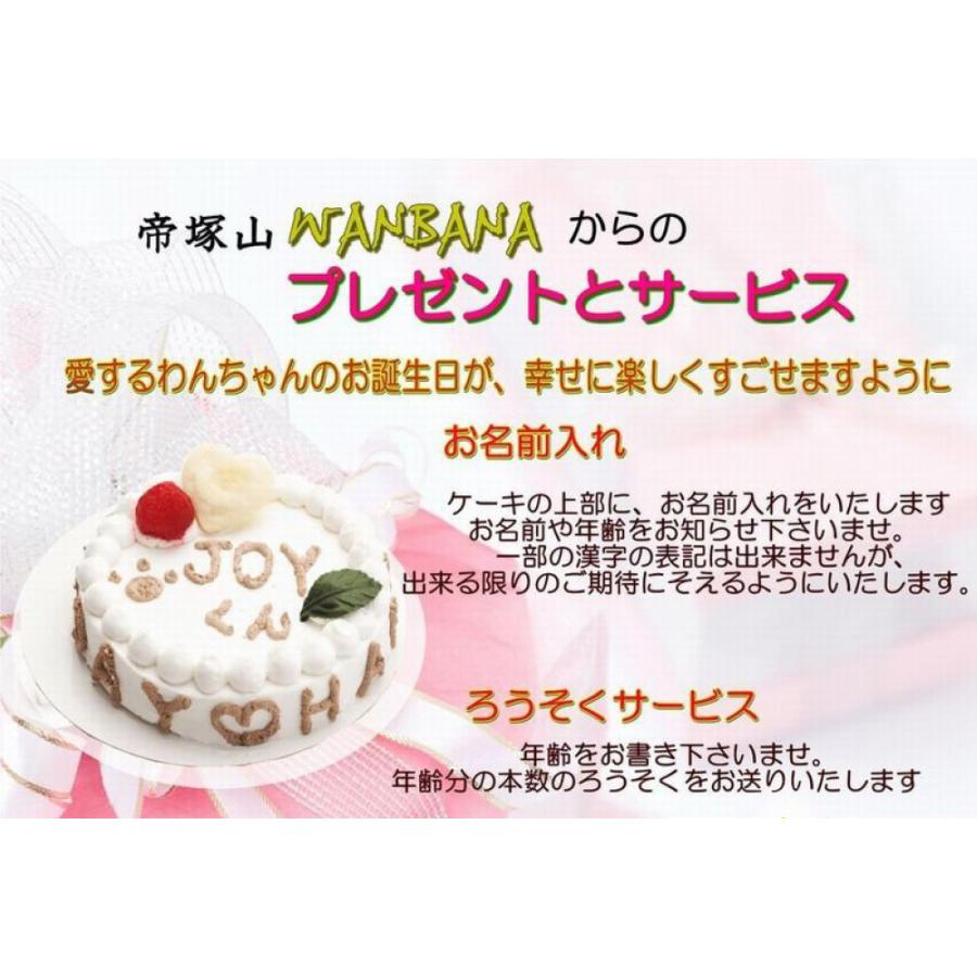 犬用 誕生日 ケーキ 名前入れok Happyday 4号 ササミ 野菜生地 と ディナー セット 馬肉団子 イチゴ ムース 焼豚 帝塚山 Wanbana ワンバナ 404 犬猫用ケーキおやつ帝塚山ワンバナ 通販 Yahoo ショッピング