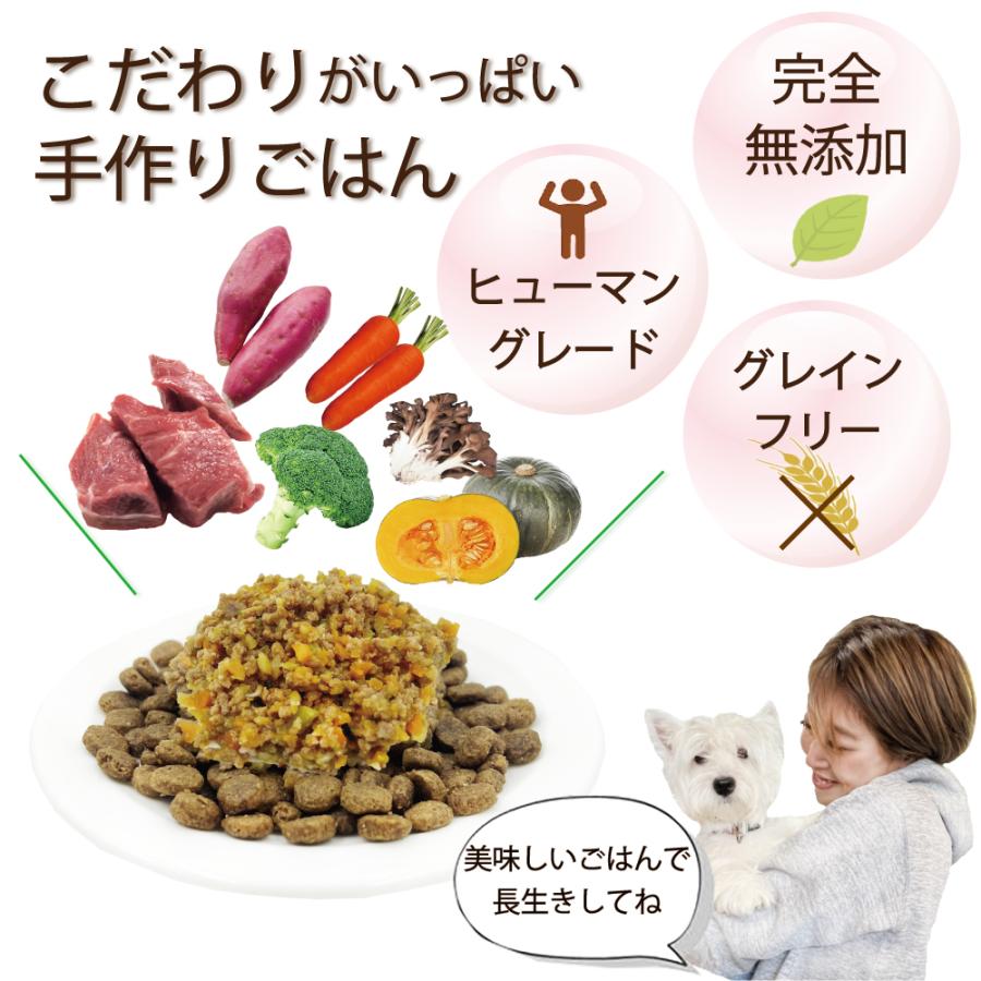 ドッグフード wanwan 帝塚山WANBANA お試し！でお得！あすつく犬用手作り食！馬肉，鹿肉