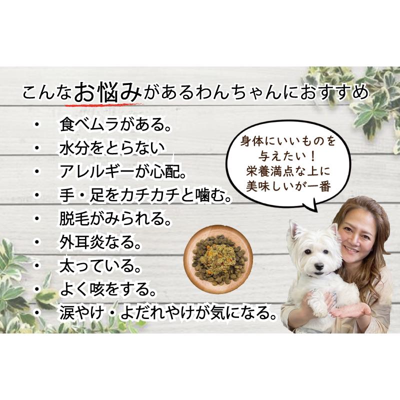 帝塚山WANBANA 犬用手作りごはんトッピングに 国産無添加レンチンok
