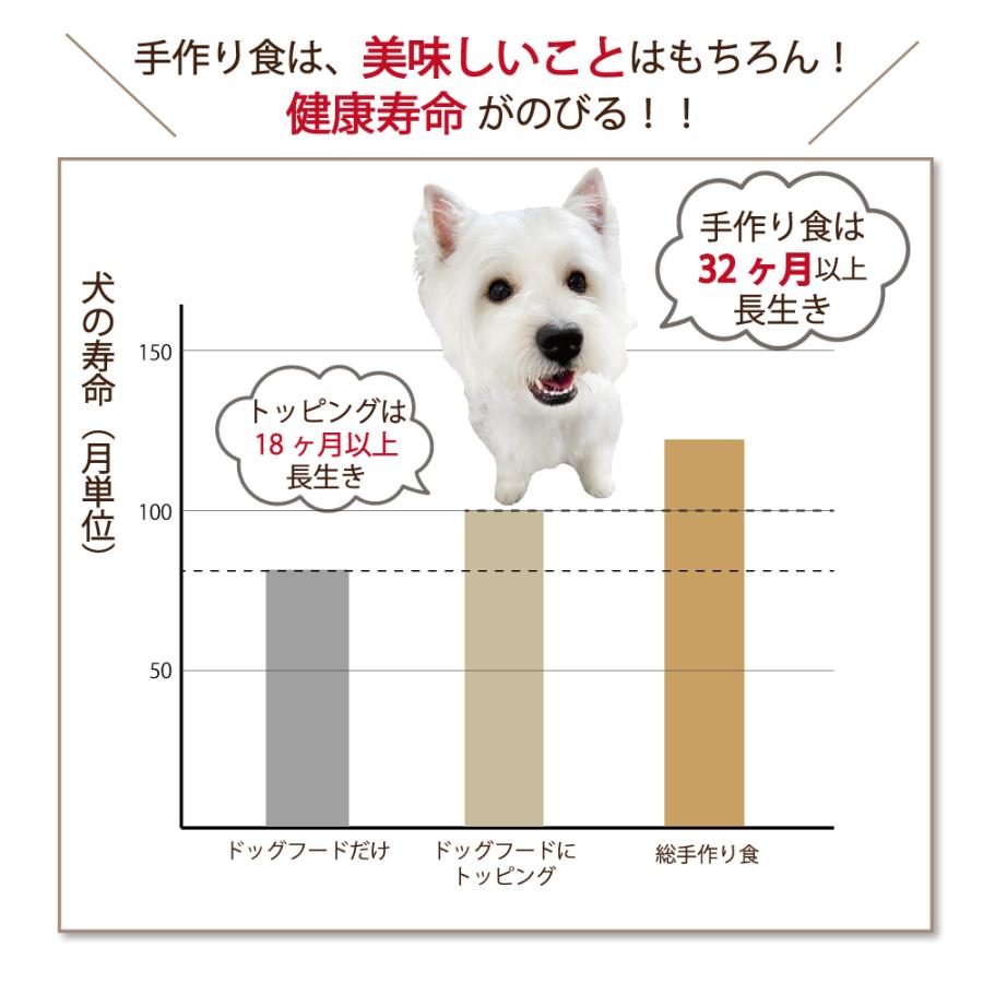 帝塚山WANBANA 犬用手作りごはんトッピングに 国産無添加レンチンok