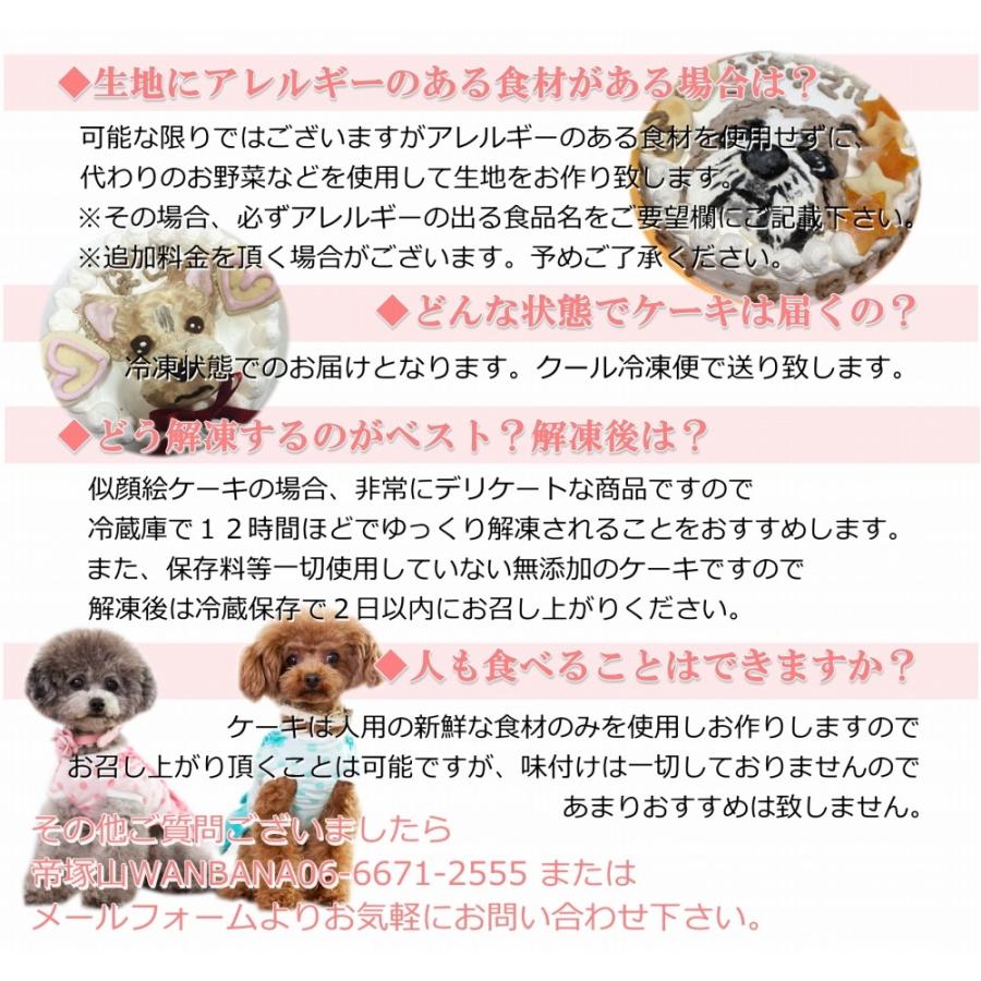 犬用の似顔絵ケーキが立体に 1頭描きで野菜と馬肉生地6号18cmサイズ お誕生日にでSNS映え イベントやバースデー 無添加のペット用品で健康な食事を｜wanbana｜05