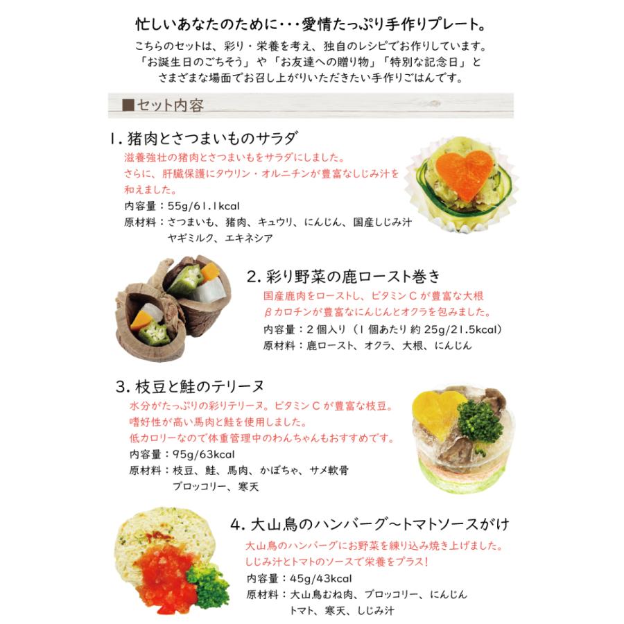 愛犬用の手作りごはん お誕生日やギフトのごちそうに フレンチアラカルト スタミナbコース トッピングやお祝いごちそう 帝塚山wanbana B Alacarteplate 犬猫用ケーキおやつ帝塚山ワンバナ 通販 Yahoo ショッピング