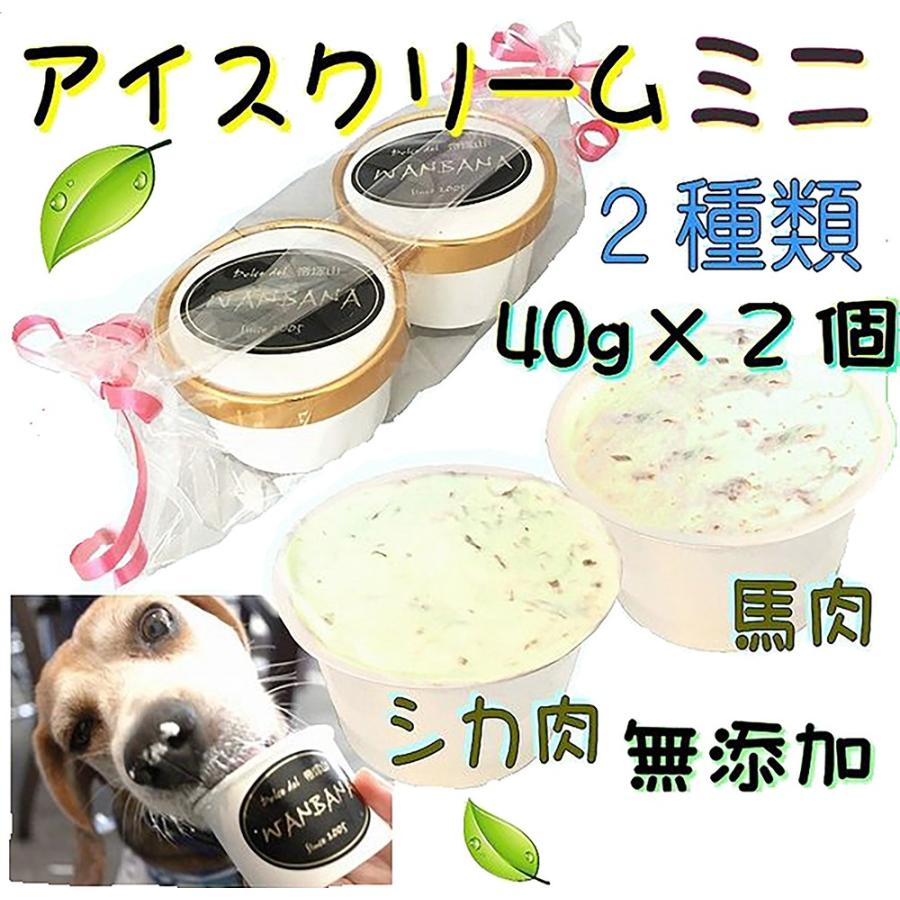 帝塚山WANBANA あすつく犬用アイス ひんやりうまうま！ミニ馬肉チップ