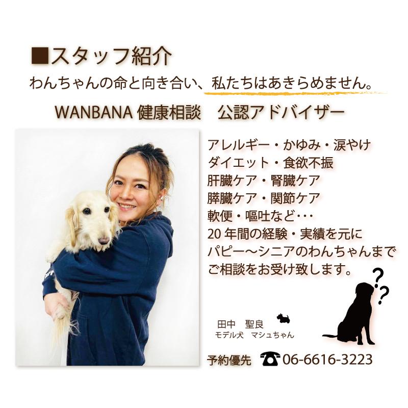 帝塚山WANBANA 犬用カップごはん 人気ナンバーワン！馬肉団子 おやつ