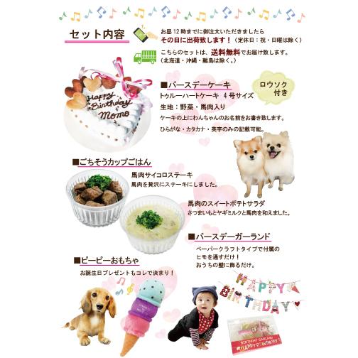 帝塚山WANBANA 犬用 ケーキ 豪華バースデーパーティーセット ごちそう
