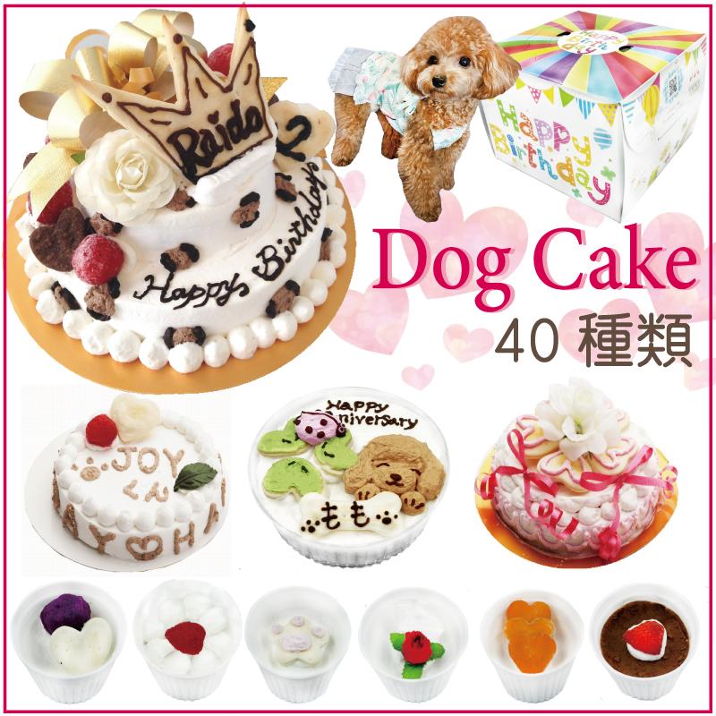 帝塚山WANBANA 犬用のお誕生日 デリシャスケーキお野菜と馬肉生地 6号