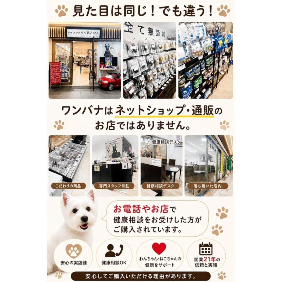 帝塚山WANBANA 犬おやつ 北海道産エゾ鹿ラング(肺)ジャーキー20g 国産