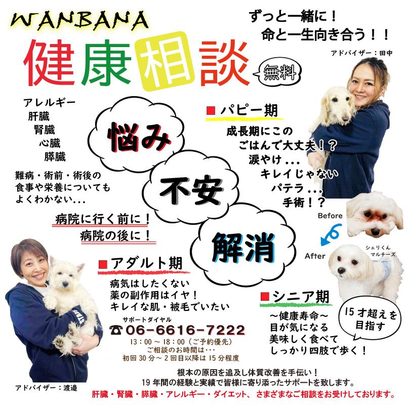 帝塚山WANBANA 犬 無添加 国産 おやつ 北海道産エゾ鹿ラング(肺