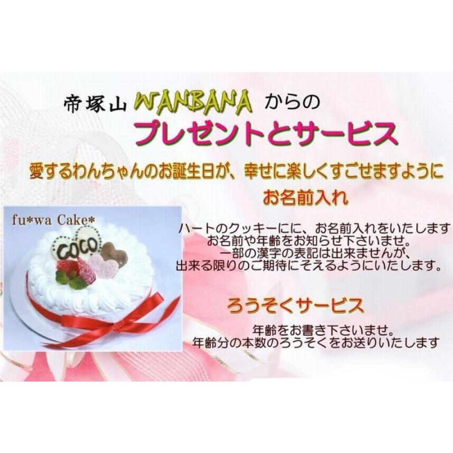 犬用のお誕生日フワケーキお野菜と馬肉生地5号15cmサイズ 無添加 プレゼント ワンバナ 中型犬 人気なバースデーでsns映え 国産 帝塚山wanbana 柔らかい プレゼント